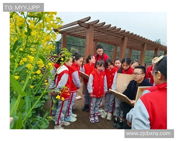 老虎顶足球的奇妙旅程探索运动与自然的完美结合 老虎顶足球的奇妙旅程探索运动与自然的完美结合